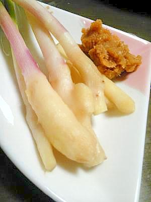 谷中しょうが レシピ 作り方 By towamama 楽天レシピ 谷中しょうが レシピ 作り方 By towamama 楽天レシピ