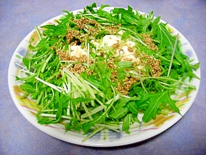 水菜と豆腐のサラダの油がけ♪