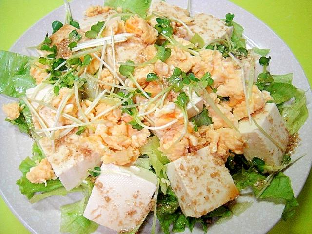 炒り卵とレタス豆腐のサラダ