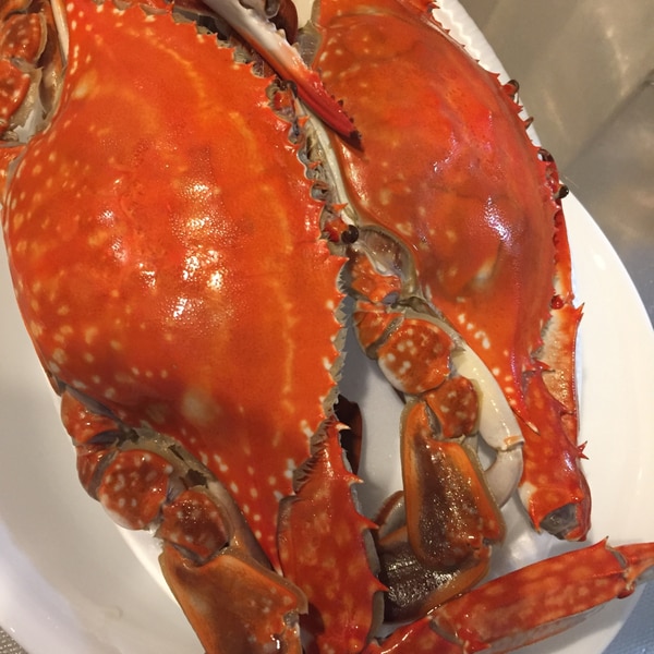 渡り蟹の茹で方 レシピ 作り方 By あもり 楽天レシピ 渡り蟹の茹で方 レシピ 作り方 By あもり 楽天レシピ