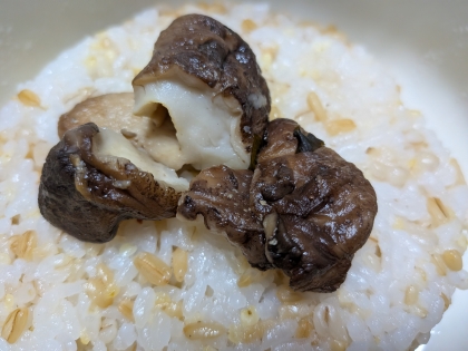 野菜寿司（しいたけ）