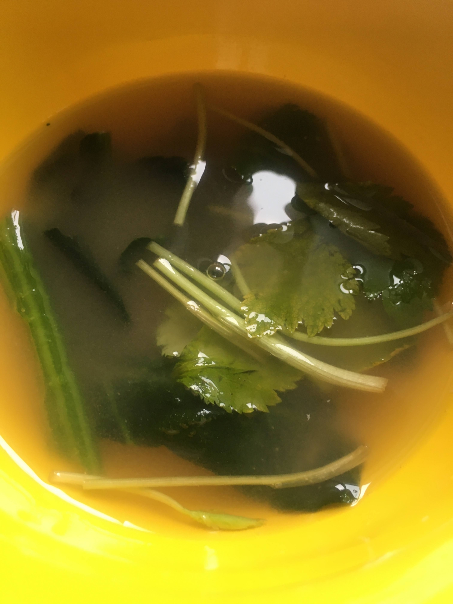 ほうれん草の味噌汁