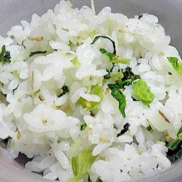 野沢菜を細かく刻んで混ぜご飯 レシピ 作り方 By デラみーやん 楽天レシピ 野沢菜を細かく刻んで混ぜご飯 レシピ 作り方 By デラみーやん 楽天レシピ