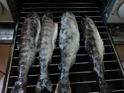 超簡単あまごの塩焼き レシピ 作り方 By お犬様たまいぬ 楽天レシピ 超簡単あまごの塩焼き レシピ 作り方 By お犬様たまいぬ 楽天レシピ