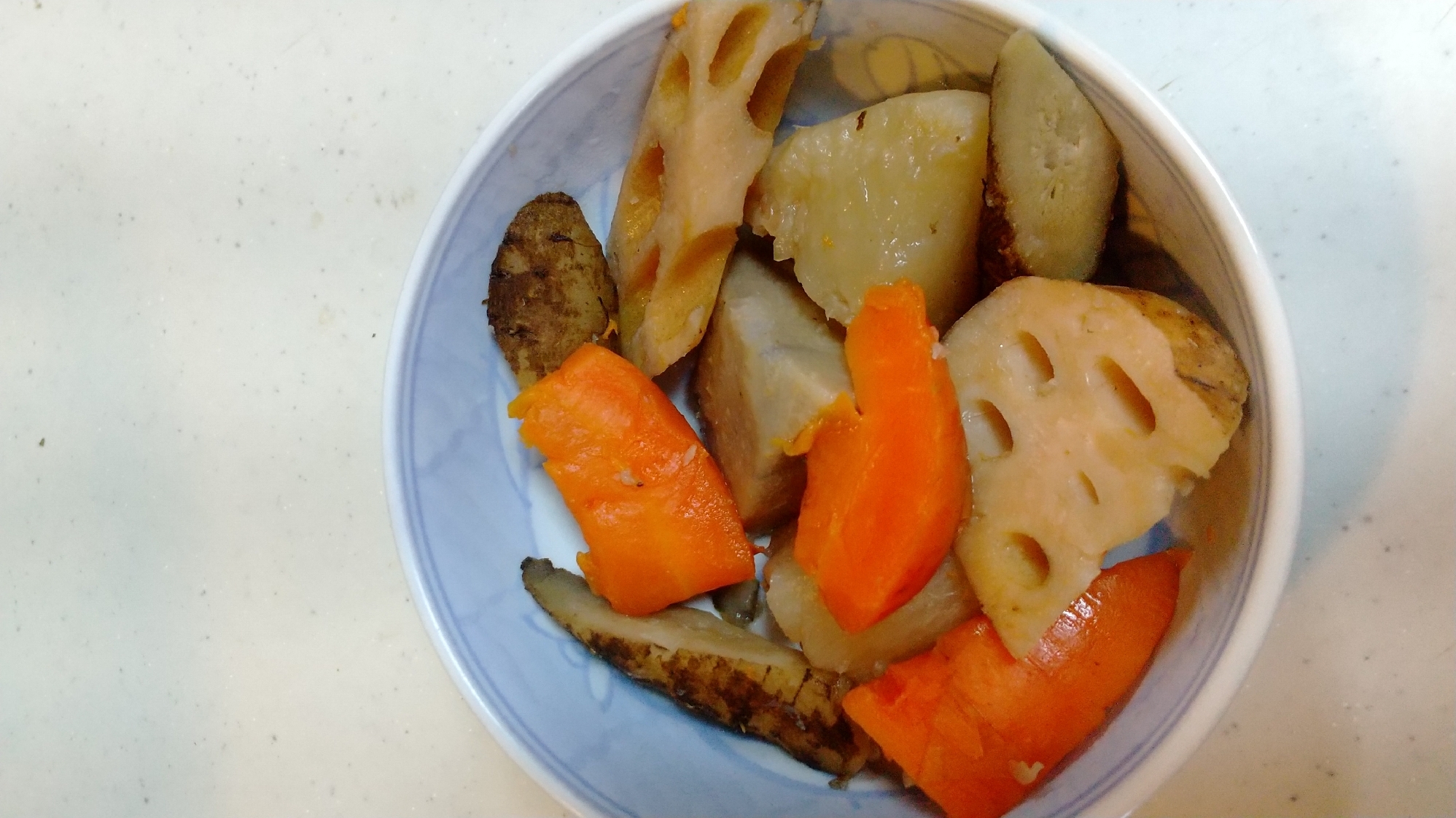 里芋ゴボウ蓮根など煮るだけ！簡単根菜の煮物
