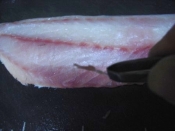 イタリアン スズキのカルパッチョ レシピ 作り方 By 一点集中力 楽天レシピ