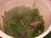 楽天レシピ 楽天市場