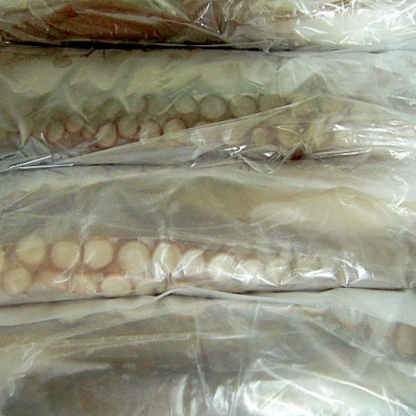 活けタコの冷凍保存 レシピ 作り方 By Hime Tarako 楽天レシピ 活けタコの冷凍保存 レシピ 作り方 By Hime Tarako 楽天レシピ