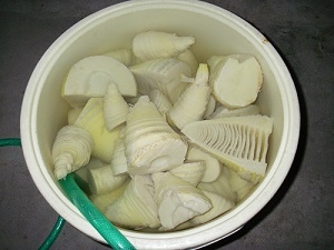 米ぬかが無くても大丈夫 筍の灰汁抜き レシピ 作り方 By Nkkmarine 楽天レシピ 米ぬかが無くても大丈夫 筍の灰汁抜き レシピ 作り方 By Nkkmarine 楽天レシピ