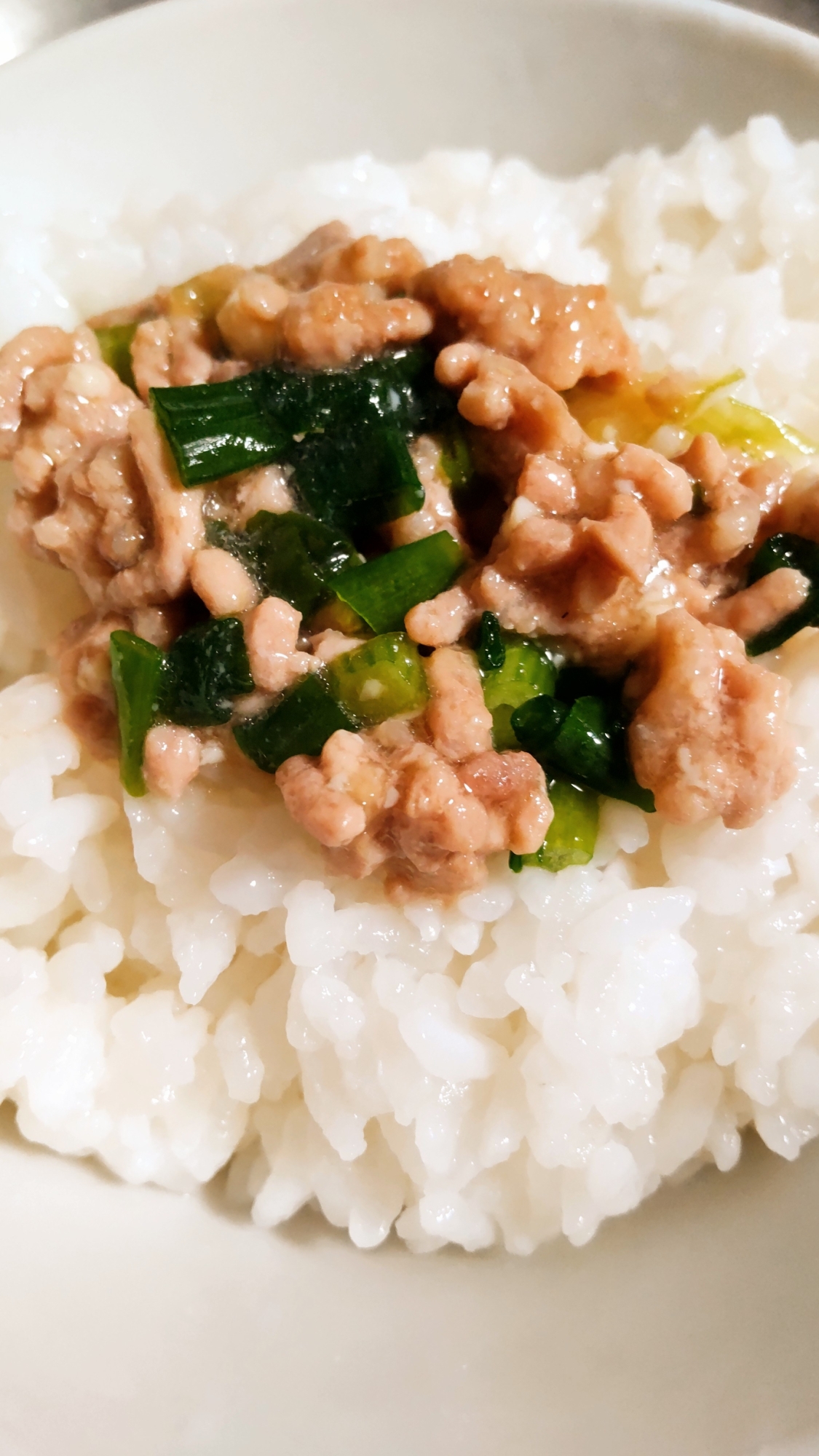 ネギそぼろご飯