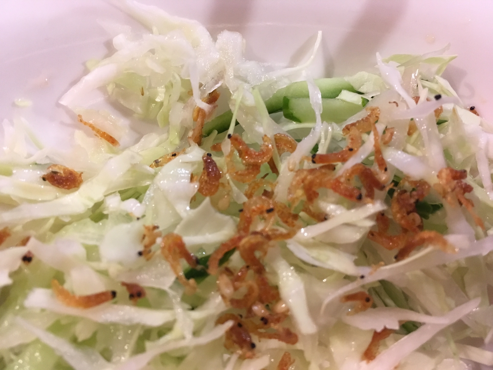 キャベツときゅうりのオキアミサラダ レシピ 作り方 By Tommeg12 楽天レシピ キャベツときゅうりのオキアミサラダ レシピ 作り方 By Tommeg12 楽天レシピ