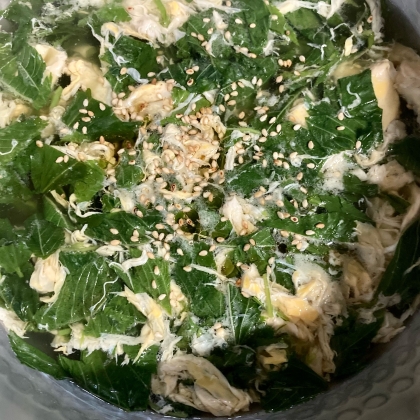 スープにするのは初めてでしたが､飲みやすく美味しかったです♪ご馳走様でした(*´ω`*)
