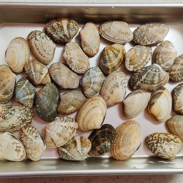 簡単 あさりの砂抜き方法 レシピ 作り方 By Makicchi 楽天レシピ 簡単 あさりの砂抜き方法 レシピ 作り方 By Makicchi 楽天レシピ