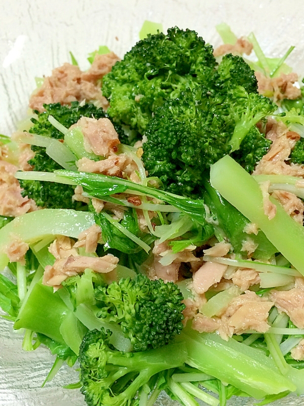 ボスコのオリーブオイル入りツナレシピ 作り方の人気順 簡単料理の楽天レシピ ボスコのオリーブオイル入りツナレシピ 作り方の人気順 簡単料理の楽天レシピ