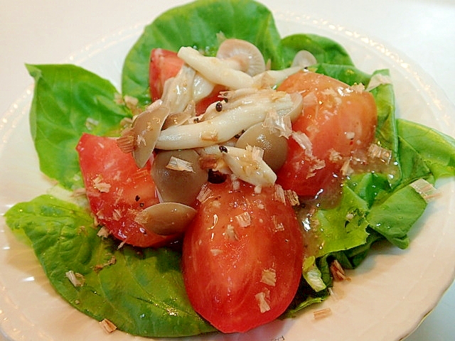 うま塩で　サラダ菜とトマトとしめじのサラダ