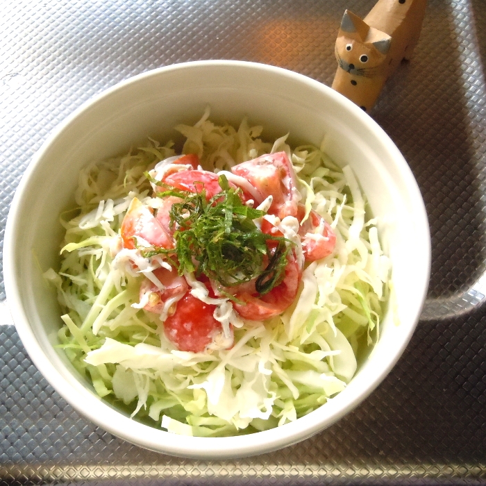 生姜香る　夏野菜としらすのサラダ