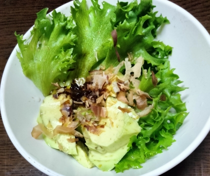 アボカドとレタスのサラダ