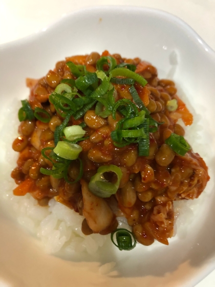 簡単！納豆キムチ丼