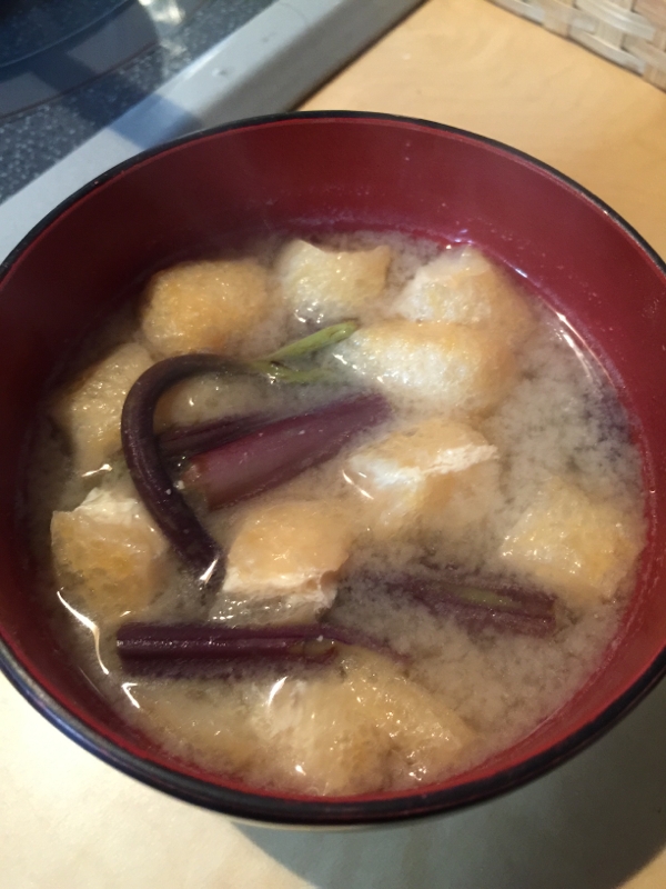 だし入り味噌で簡単！わらびと油揚げのお味噌汁