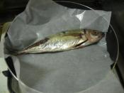 フライパンで焼く あじの塩焼き レシピ 作り方 By Riko0729 楽天レシピ フライパンで焼く あじの塩焼き レシピ 作り方 By Riko0729 楽天レシピ