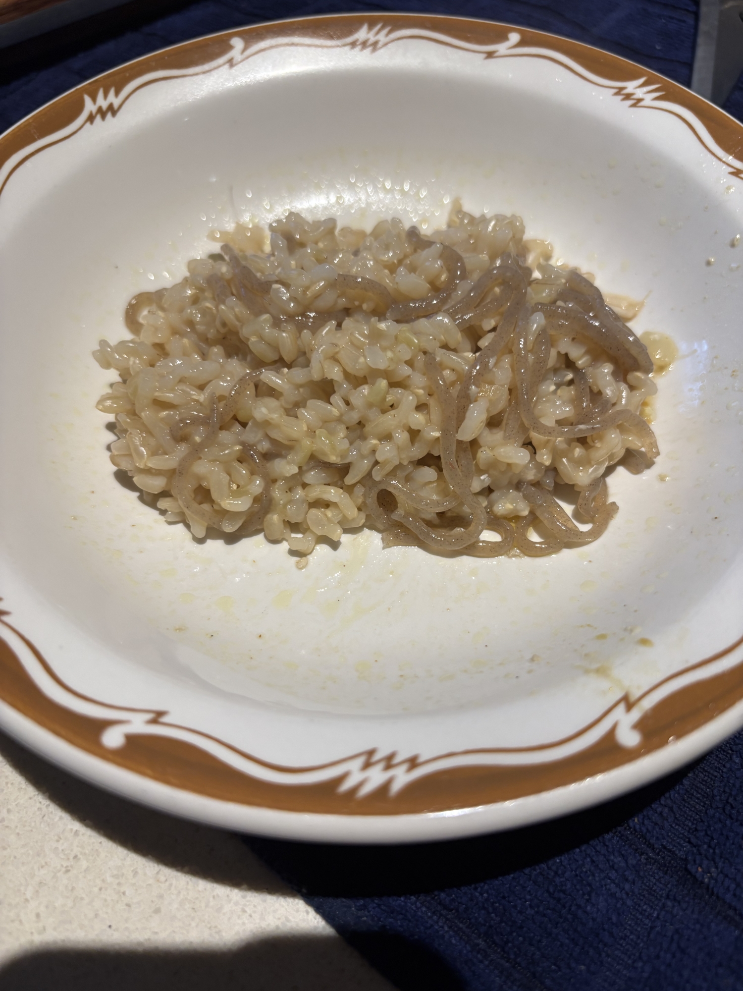 こんにゃくと生姜入り玄米