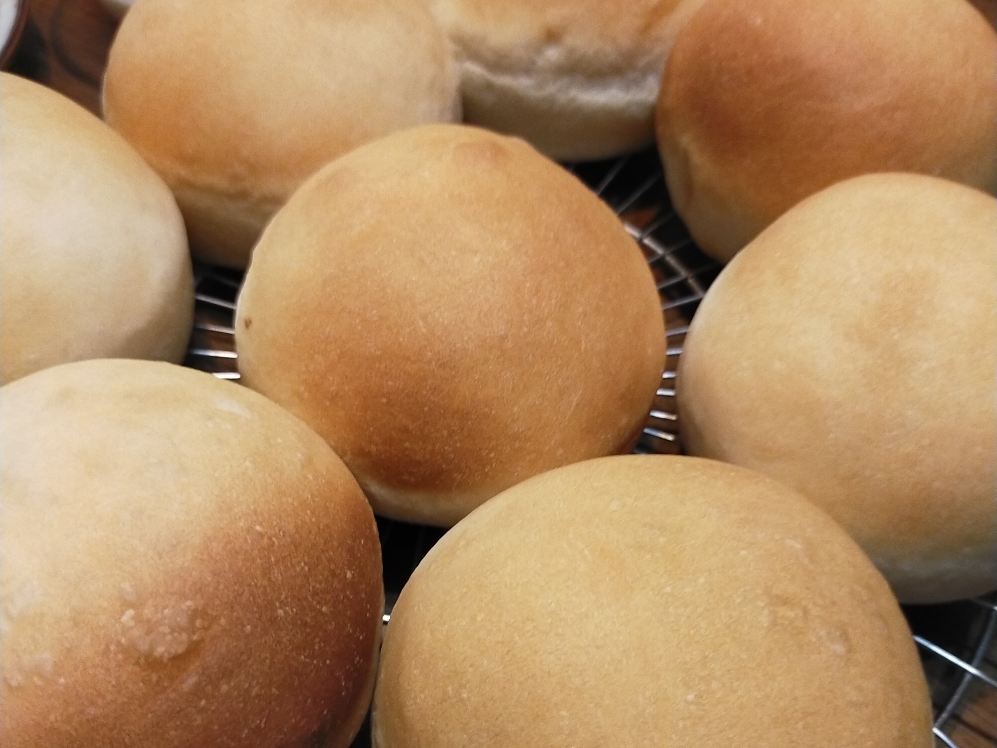 バーガーバンズ