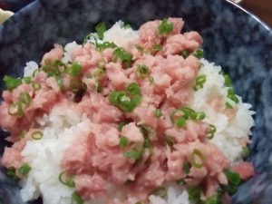 しゃきしゃき♪ねぎとろ丼