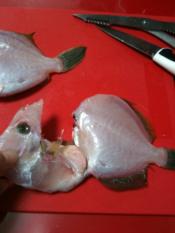 カワハギのさばき方 楽天レシピ カワハギのさばき方 楽天レシピ