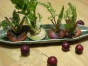 料理の彩りや食用ok エコna人参ヘタとセリne レシピ 作り方 By ブルーボリジ 楽天レシピ 料理の彩りや食用ok エコna人参ヘタとセリne レシピ 作り方 By ブルーボリジ 楽天レシピ