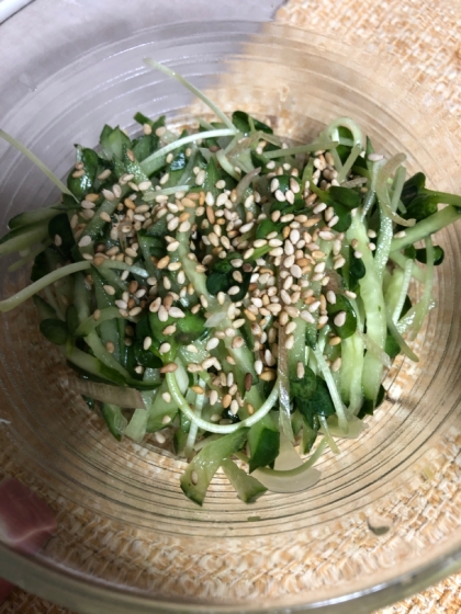 茗荷ときゅうりとブロッコリースプラウトの胡麻サラダ