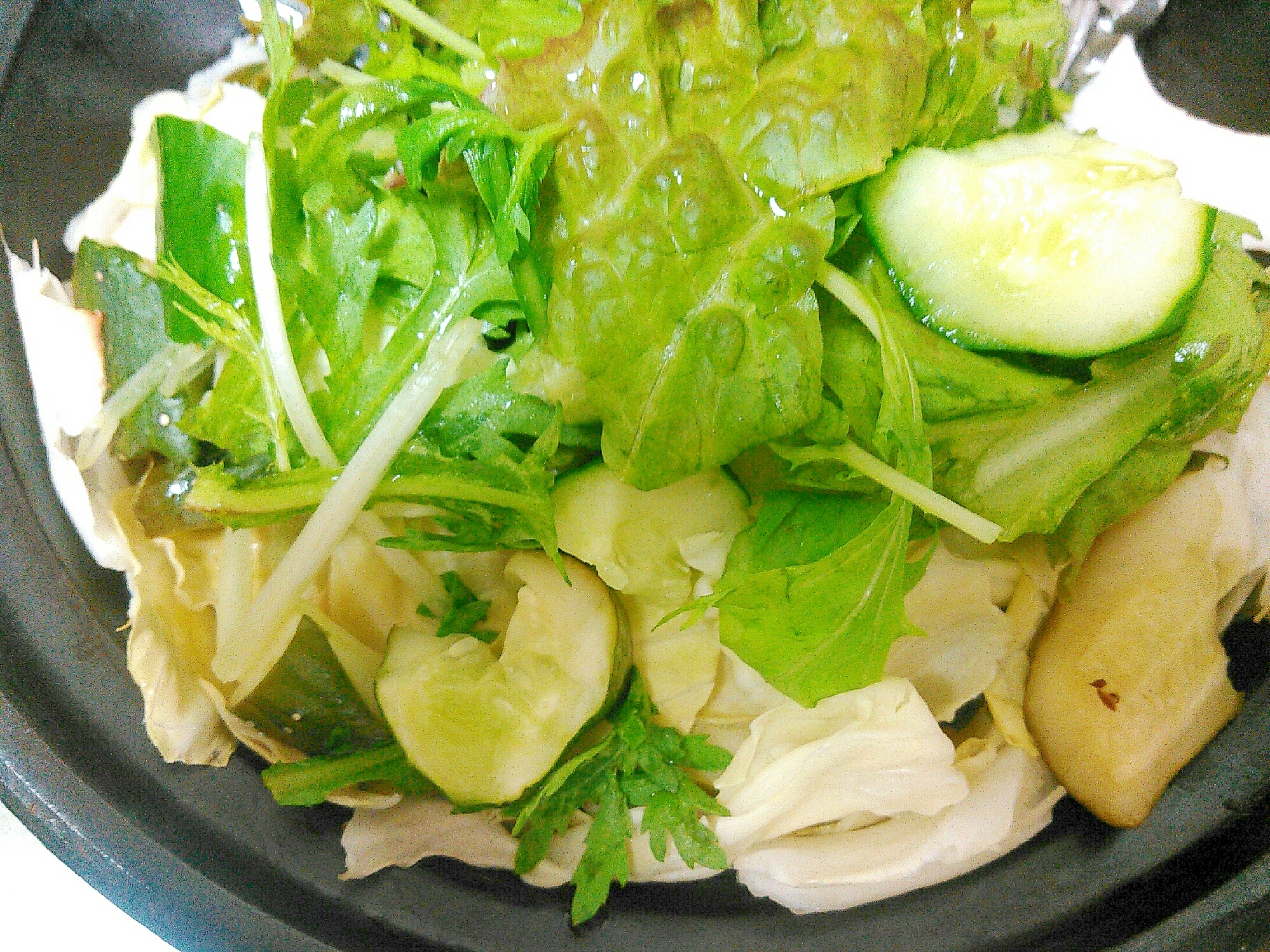 キャベツ＆キュウリ＆レタス水菜のグリーンサラダ