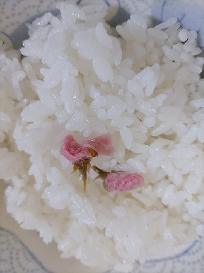 桜ご飯