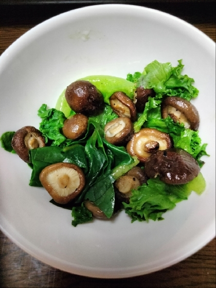 椎茸サニーレタス青梗菜もやし蒸し焼き煮