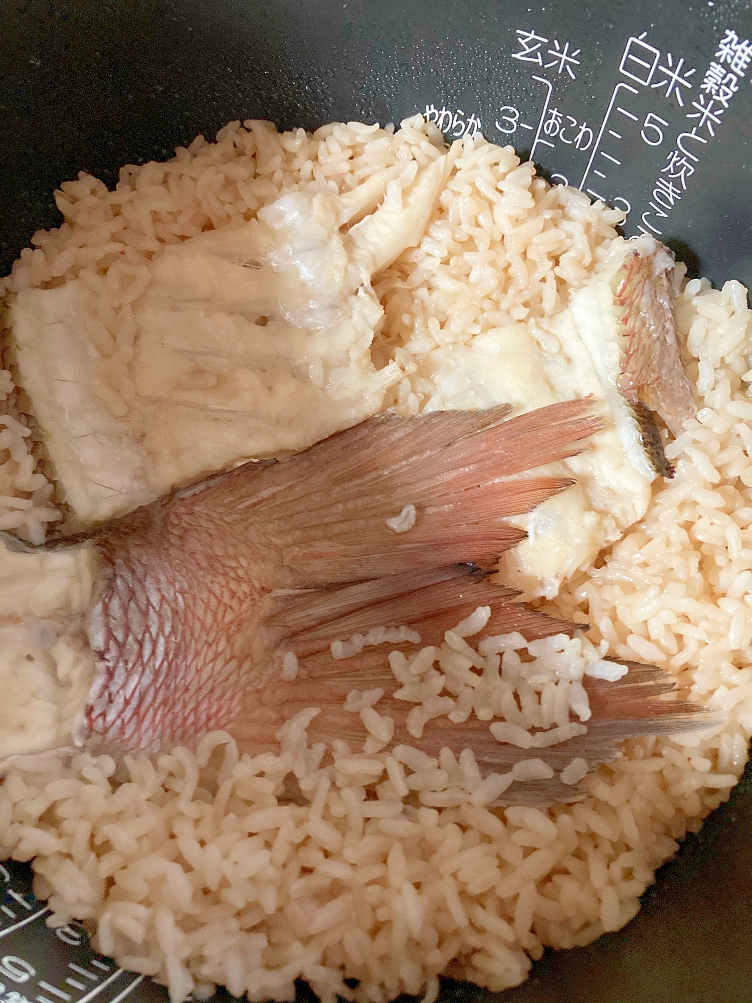 鯛 の あら 鯛めし