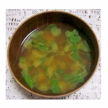 かいわれ大根の味噌汁（昆布だし）