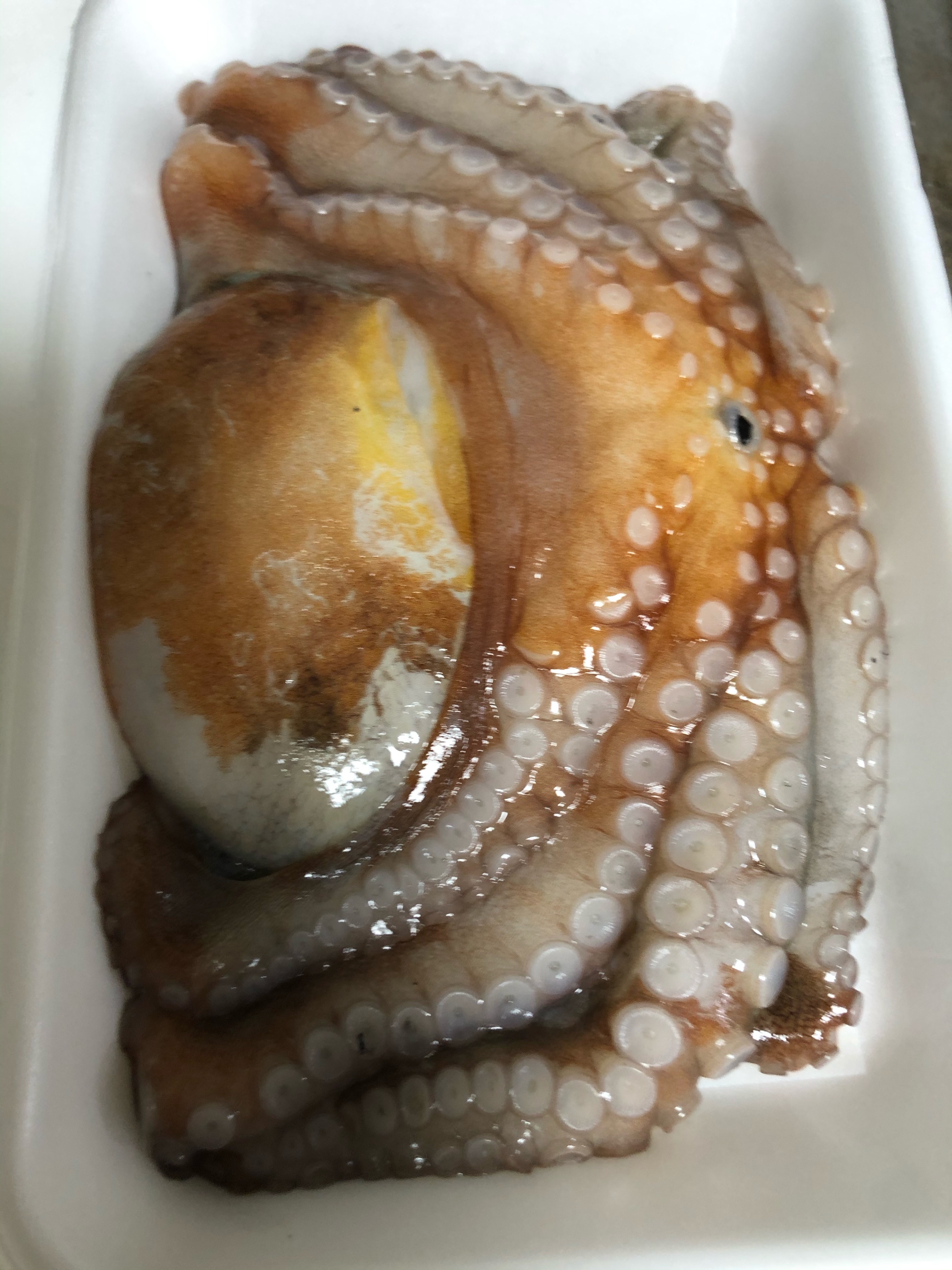 タコの刺身 捌き方 レシピ 作り方 By まぼまぼまん 楽天レシピ タコの刺身 捌き方 レシピ 作り方 By まぼまぼまん 楽天レシピ