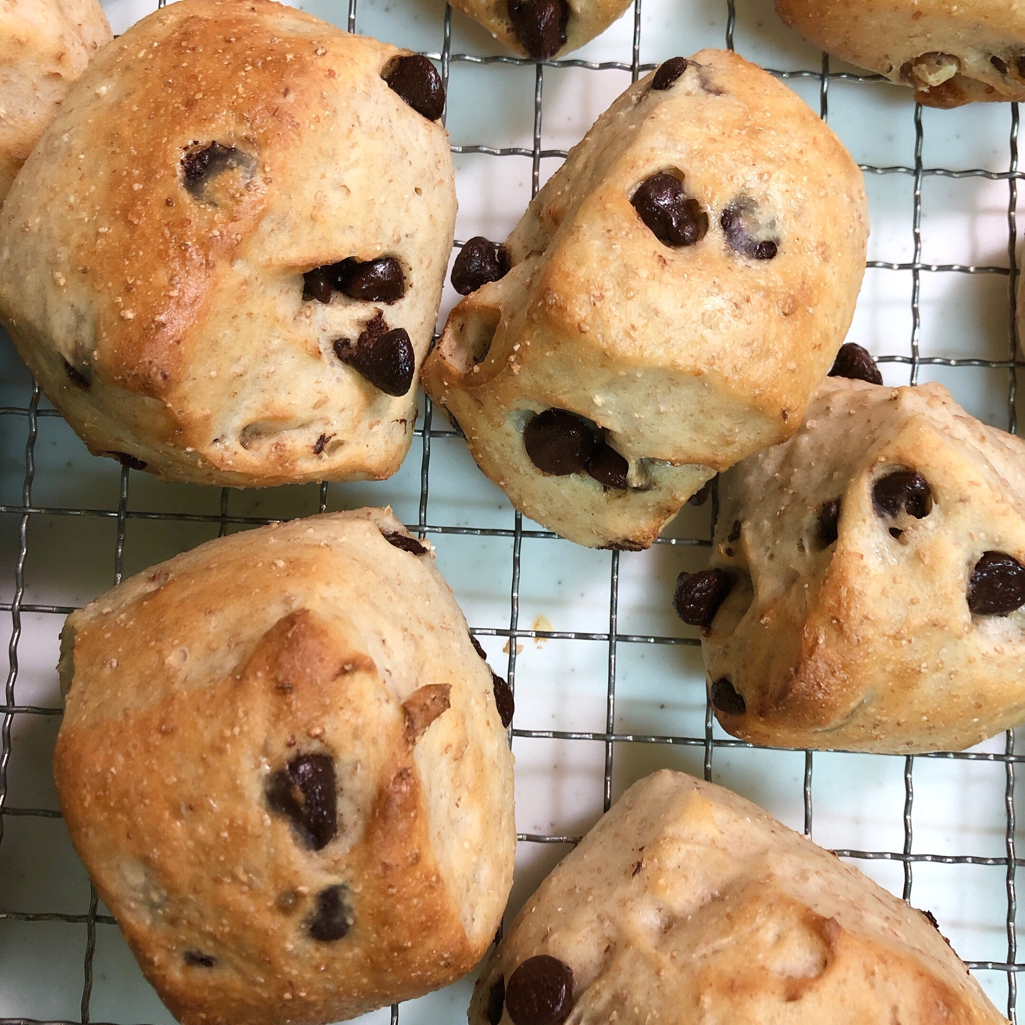 切りっぱなしで簡単に！全粒粉チョコチップパン♪