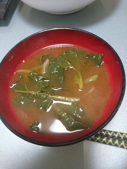 ほうれん草と玉葱のお味噌汁