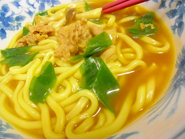 豚肉と長ネギのカレーうどん