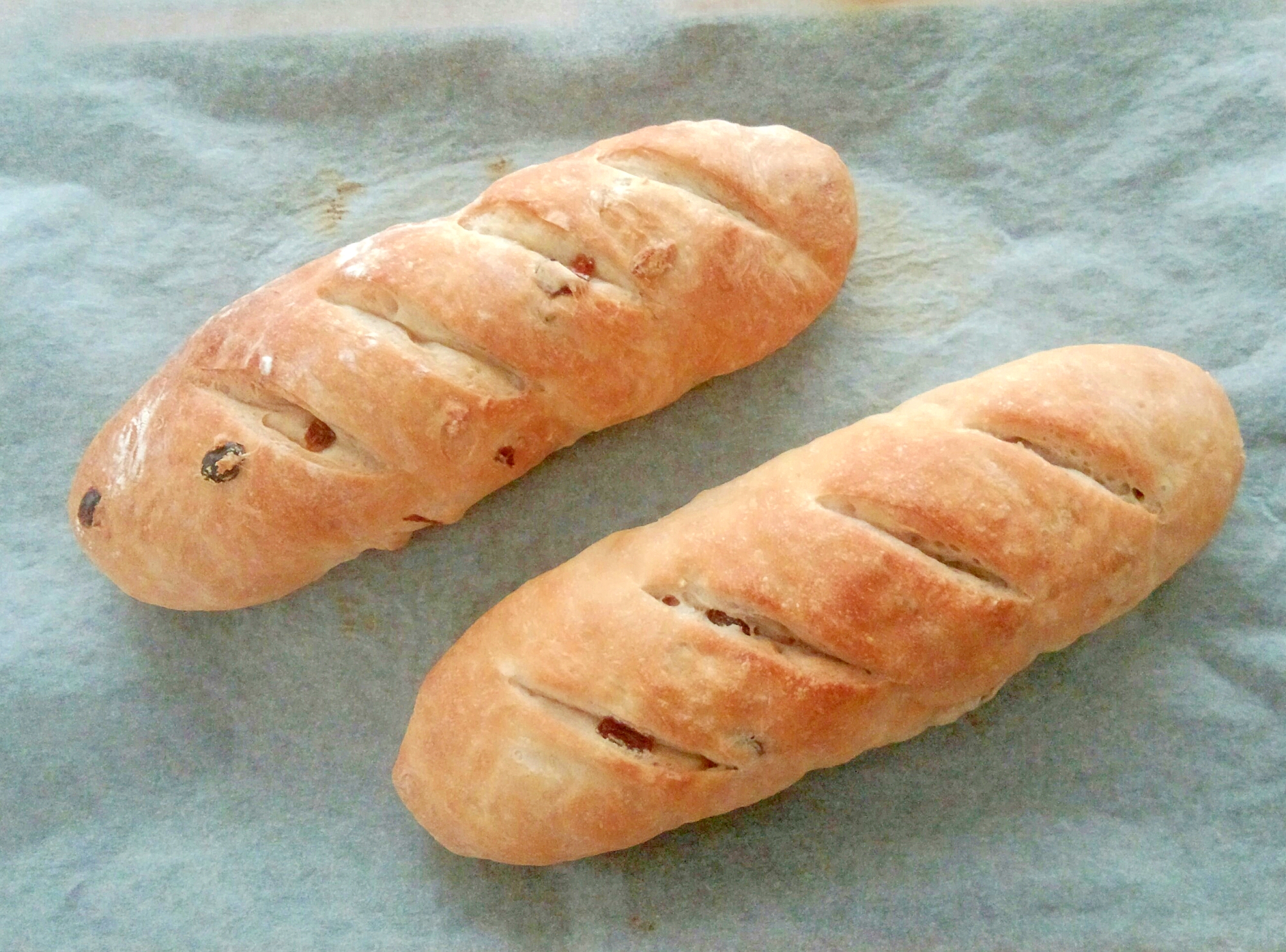 レーズン くるみ入フランスパン レシピ 作り方 By コークさん 楽天レシピ