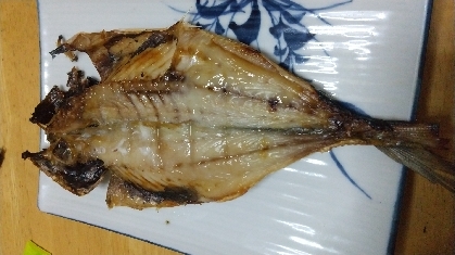 あじ開き 塩焼き