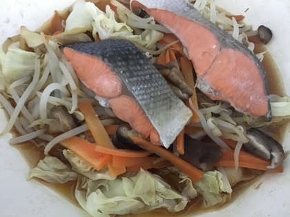 フライパンで簡単！鮭のキャベツ野菜蒸し