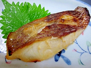 甘さ控えめ 塩麹入り 真鯛の西京漬け レシピ 作り方 By Startrek 楽天レシピ 甘さ控えめ 塩麹入り 真鯛の西京漬け レシピ 作り方 By Startrek 楽天レシピ