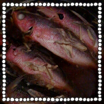 白身魚 グルクン のあっさり煮付け レシピ 作り方 By あ3608 楽天レシピ 白身魚 グルクン のあっさり煮付け レシピ 作り方 By あ3608 楽天レシピ