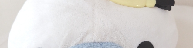 ゆかふぃん