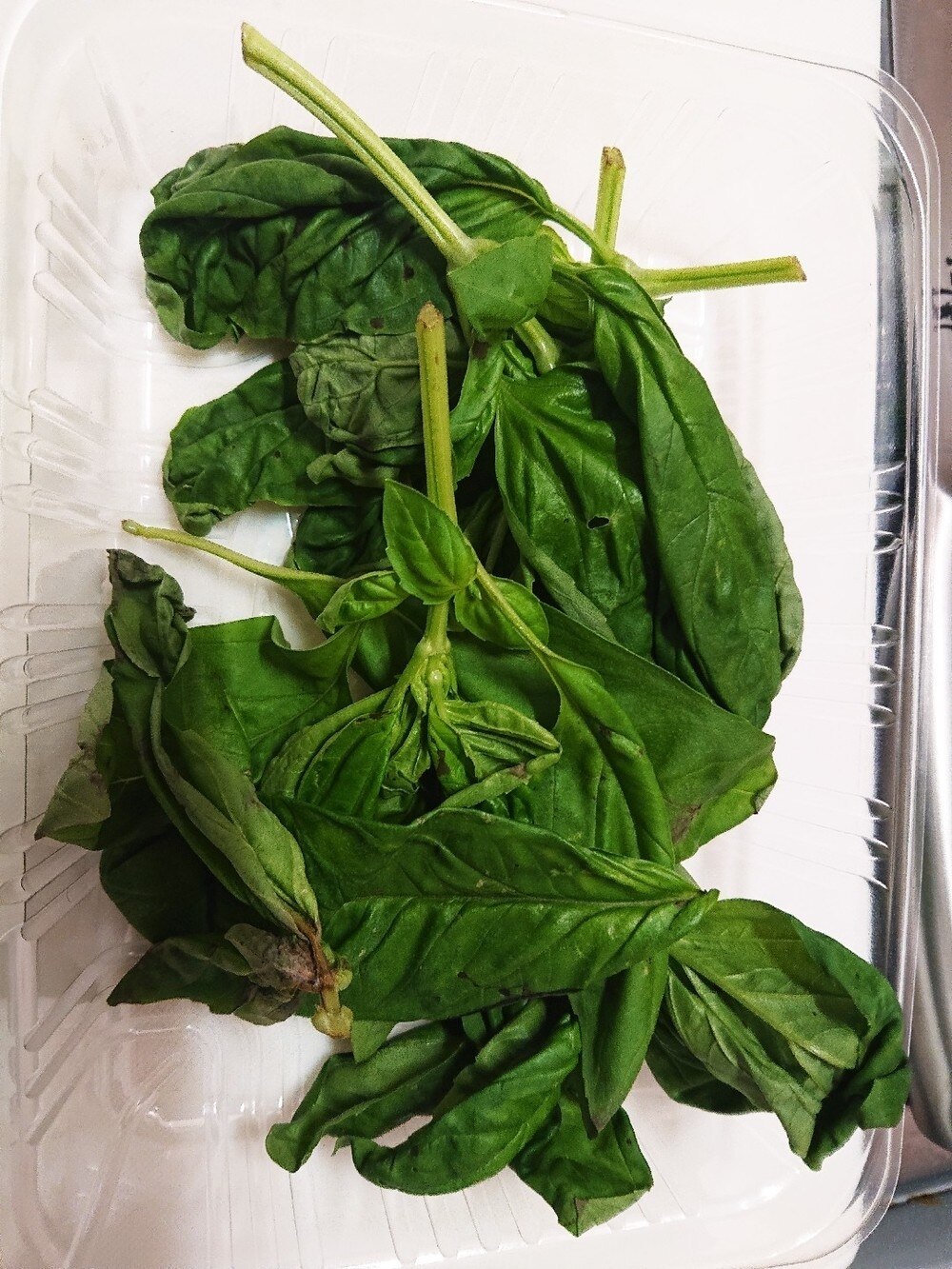 料理人の保存テク バジル 冷蔵庫で10日間 レシピ 作り方 By 料理家ガンガン 楽天レシピ 料理人の保存テク バジル 冷蔵庫で10日間 レシピ 作り方 By 料理家ガンガン 楽天レシピ