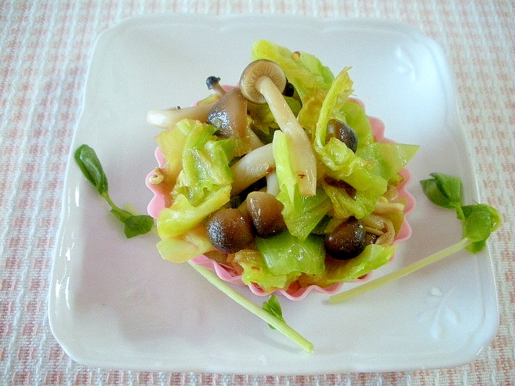 お弁当に キャベツとしめじの炒めサラダ レシピ 作り方 By エゾモモンガさん 楽天レシピ お弁当に キャベツとしめじの炒めサラダ レシピ 作り方 By エゾモモンガさん 楽天レシピ