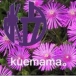 kuemama。