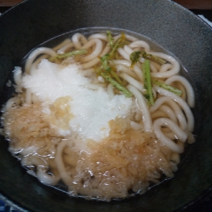 みつばと茗荷＆とろろ芋のうどん