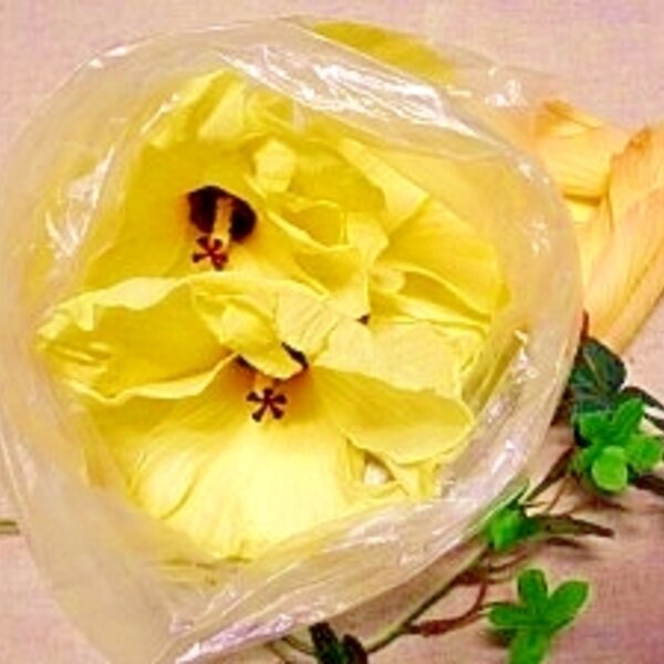 花オクラ 美しく保存 レシピ 作り方 By ブルーボリジ 楽天レシピ 花オクラ 美しく保存 レシピ 作り方 By ブルーボリジ 楽天レシピ